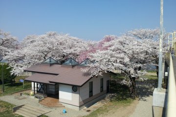 The park at Tenshochi in Kitakami