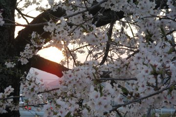 Sunset in Tono