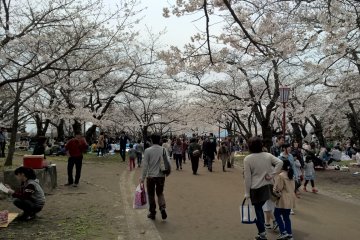 Iwate Park in Morioka