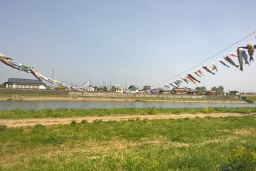 The carp streamers over the Kitakami River in Kitakami
