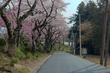 Near Hanamaki Onsen