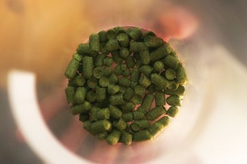 The hops are imported from the Czech Republic
