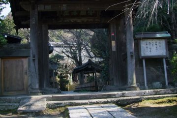 Steps from the road leading up to the gate