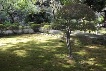 Gyokuden-ji Temple in Odawara