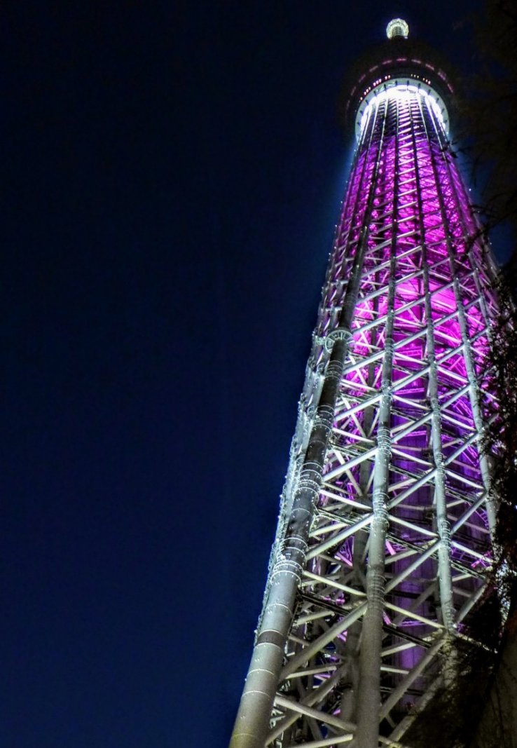The skytree, ablaze with eye-catching pink in honour of Hanami season