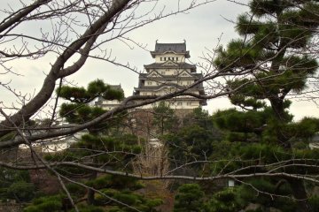 <p>Le ch&acirc;teau de Himeji</p>