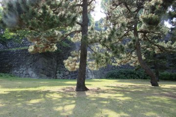 Relaxing atmosphere in the Gardens