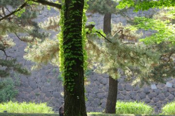 Along the walking path