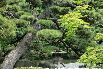 Pines and stone lanterns are also traditional