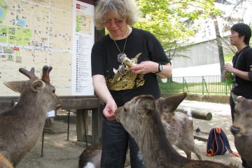 Nara Scenes