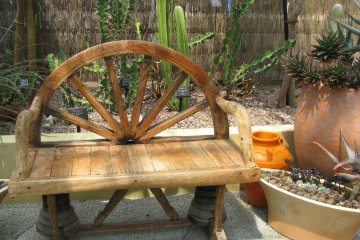 One of the corners of the "Mexican garden"