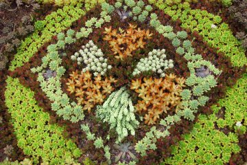 Mexican ornament made of flowers