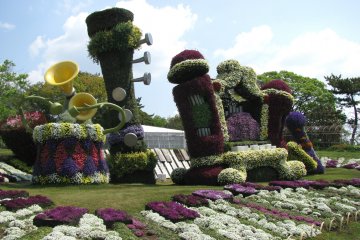 Hamamatsu Flower Park in Bloom