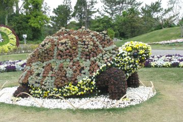 Une tortue toute en fleurs