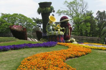 Parterres de fleurs