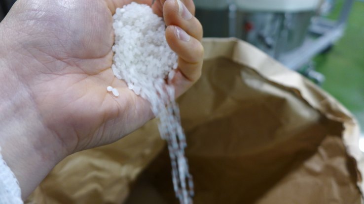 This is Nihonbare rice, a sake specific rice species