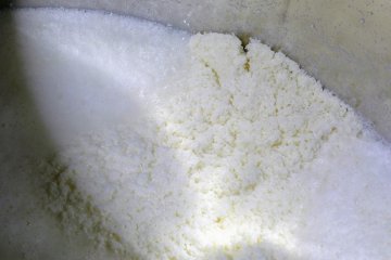 Yeast has already been added to this mixture of rice, koji, and water, and is actively fermenting away