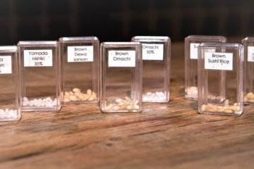 Sake Classification