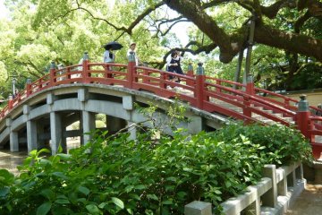 Bridge from the past