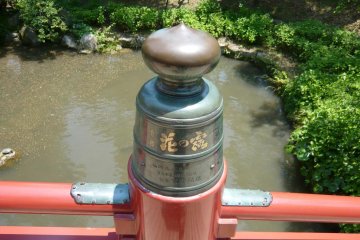 Bridge to the future