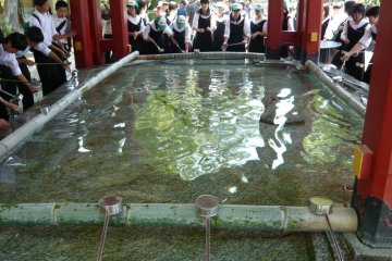 Cleansing in preparation