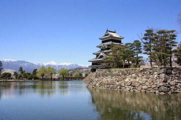 Cerisiers en Fleurs à Matsumoto