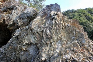 The geology of Cape Suwazaki is fascinating. The volcanic rocks look like wood.