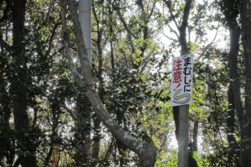 The sign says "Beware of mamushi". These are poisonous snakes that are around in the warmer months. Mind where you put your feet.