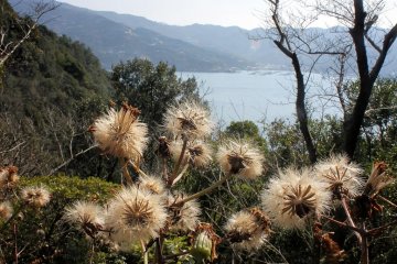 There are things to see at any time of year.