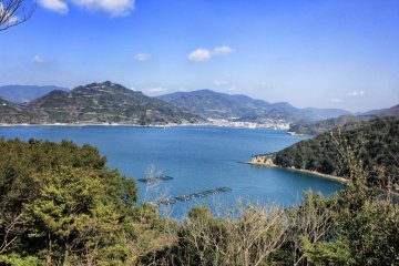 The view of Yawatahama from the northern side of the cape.