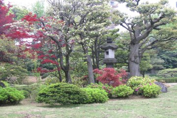 A stone lantern is always the center of a Japanese garden
