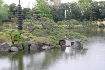 Walking in the garden, you can see many beautiful views