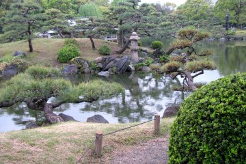 One of the beautiful corners of the garden