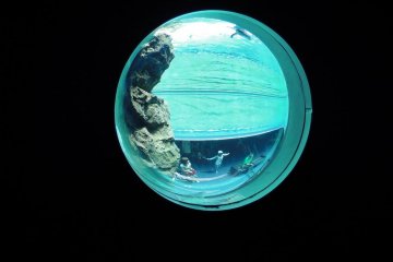 Aquas Aquarium
