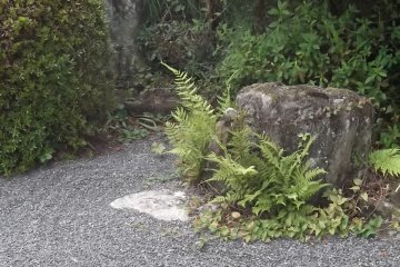 A Buddhist deity surveys the zen garden