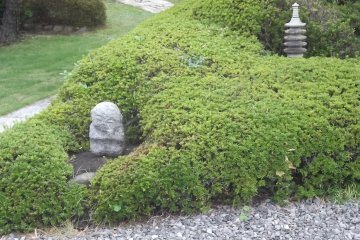 Oases in the shrub