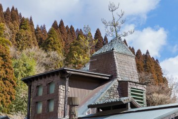 Pointy roofs with living trees at Ramune Onsen