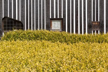 Solid yellow-green groundcover complements the charcoal siding and stripes of Ramune Onsen
