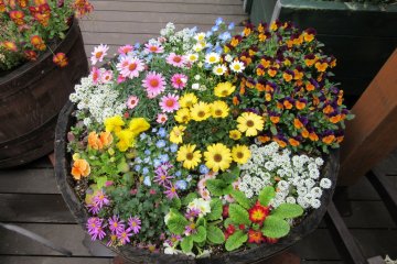 Flower composition 