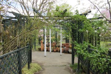 In the summer the garden is more green