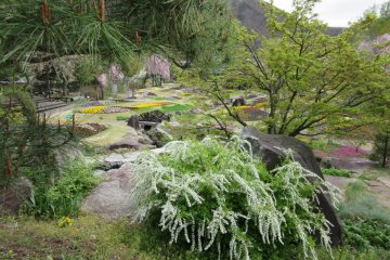 The garden opens many beautiful sights