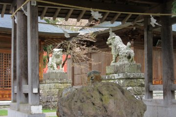Quiet jinja