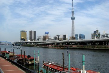 My favorite view with Sky Tree