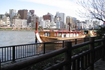 The view from the opposite side