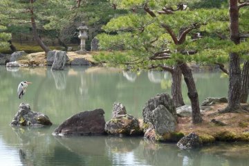 Kyoto, Golden Pavilion
