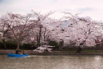 An unforgettable boat ride