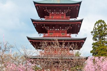 This temple stands in the city and not in the park
