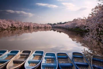 Ready for a boat ride?
