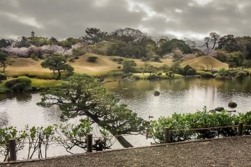 Bien que le Suizen-ji soit célèbre pour sa brume de début de journée, j'ai pourtant été accueilli par une bruine constante et un ciel couvert