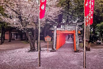 Un Tori (porte) coloré et un petit sanctuaire se trouvent à proximité de la bordure Est des jardins